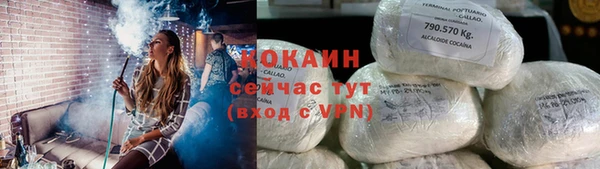 спайс Гусь-Хрустальный