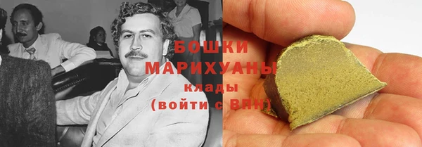 спайс Гусь-Хрустальный
