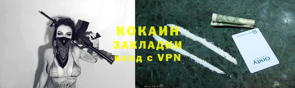 спайс Гусь-Хрустальный