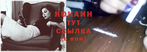 спайс Гусь-Хрустальный