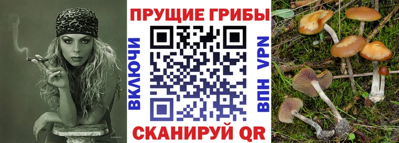 Галлюциногенные грибы ЛСД  Купить где  Камышлов 